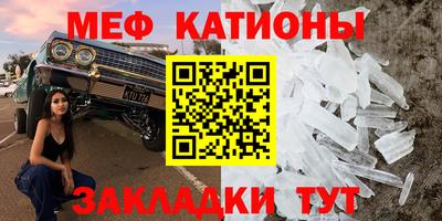 стаф Тара