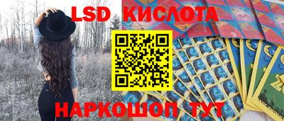 стаф Тара