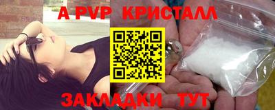 стаф Тара